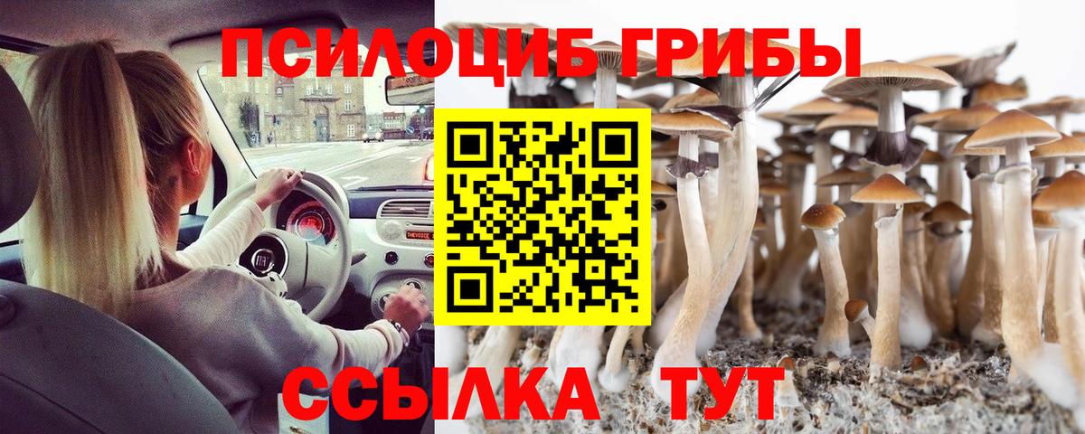 Галлюциногенные грибы прущие грибы Людиново