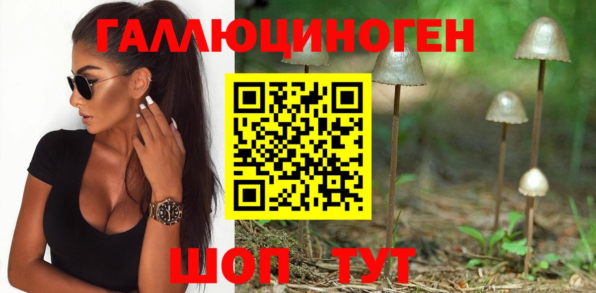 Людиново  Псилоцибиновые грибы Psilocybine cubensis  Псилоцибиновые грибы Psilocybe  Вход с VPN 